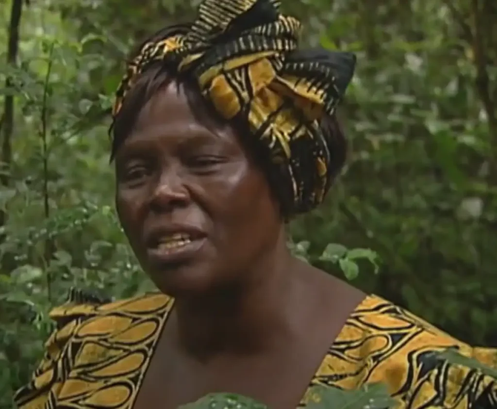 wangari maathai
